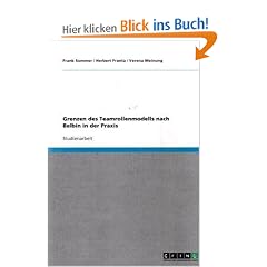 Grenzen des Teamrollenmodells nach Belbin in der Praxis