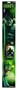 Shakespeare Incredible Hulk 5-Feet Casting Combo