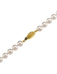 7" Akoya Cultured Pearl Strand in 14k Yellow Gold