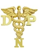 NursingPin - Doctor of Nursing Practice DNP Graduation Pin in 14K Gold