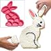 Create N Celebrate Silicone Pull Apart Bunny Rabbit Cake Pan
