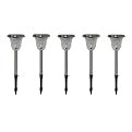 Stainless Steel Solar Lantern 5-pk.