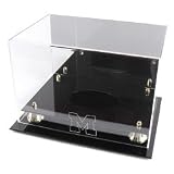 Golden Classic Michigan Wolverines Logo Football Case
