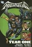 Nightwing : year one