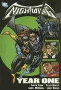 Nightwing : year one
