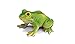 Schleich Frog