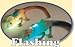 Flashing Light Up Chameleon Image