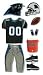 Team Uniforms - NFL TEAM UNIFORM 3-D Stickers CAROLINA PANTHERS - DISCONTINUED ITEM - For Scrapbooking, Card Making & Craft Projects