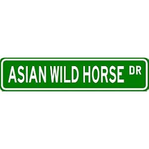 ASIAN WILD HORSE Street Sign ~ Custom Street Sign - Aluminum
