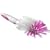 Tommee Tippee Bottle & Teat Brush