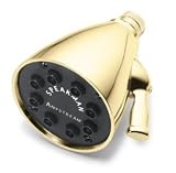 Speakman S-2251-PVD Anystream Showerhead, Polished Brass