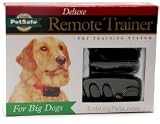 BIG DOG TRAINER