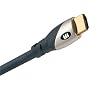 Monster MC500HD-1M Standard Speed HDTV HDMI Cable (1 meter)