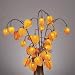 Gerson 36854 31-Inch Chinese Lantern with 30 Clear Rice Lights, Orange