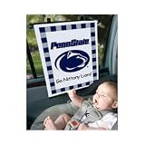 Sunshade - Penn State University