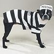 Pet Costume Prison Pooch SMALL
