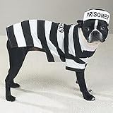 Pet Costume Prison Pooch SMALL