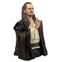 Star Wars Gentle Giant > Qui-Gon Jinn Mini-Bust