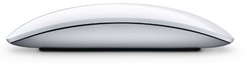Apple Magic Mouse MB829J/A