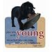 Black Lab Puppy Die-Cut Wit & Wisdom Magnet Black Lab Puppy Die-Cut Wit & Wisdom Magnet
