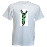 T-Shirt mit Sukkulenten, stachelig, Pflanze, leafless, 