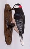 Knockers: Painted Woodpecker door knocker