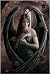 Anne Stokes - Angel Rose - Maxi Poster - 61 cm x 91.5 cm
