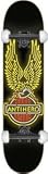 Anti-Hero Nothins Free Neon Lg Skateboard - 8.25 w/Thunders, Spitfires