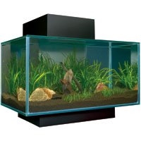 Fluval Edge Glass Aquarium Kit – Black – 6 Gallon