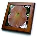 Macros Angel Trumpet An Orange Flower - 8x8 Framed Tile