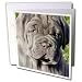 Dogs Neapolitan Mastiff - Neapolitan Mastiff - Greeting Cards-12 Greeting Cards with envelopes