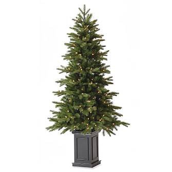 Canterbury Potted Tree - 7''H - Grandin Road, 7'H