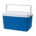 Igloo Picnic Basket - Blue (26-qt. )
