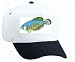 White Cap with aquarium, animal, solfjadersfisk, fish