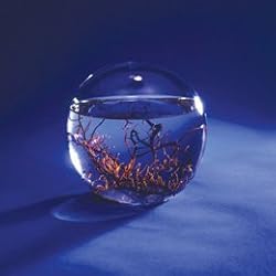 Small 4" Round EcoSphere