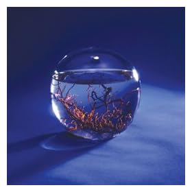 Small 4" Round EcoSphere