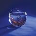 Small 4" Round EcoSphere