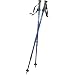 OUTDOOR PRODUCTS DBL TREKKING POLE W/TWISTLOCK