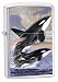 Brushed Chrome, Guy Harvey Killer Whales