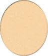 Dollhouse Beige Wall to Wall Carpeting