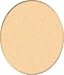 Dollhouse Beige Wall to Wall Carpeting
