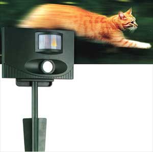 Childrens Toyshop  Outdoor Living : Contech Cat Stop Ultrasonic Repellent