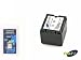 Batterie Panasonic CGA-DU14 1100mAh Li-Ion 7,4V pour Hitachi DZ-HS301SW