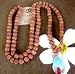 Rudraksha Seed Mala with Turquoise Pendant - 108 Beads 6.5mm