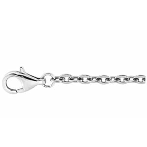 Titanium Anchor Chain with Lobster Clasp 20", 3.1mm (Jewelry)