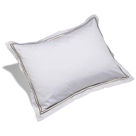 Pinzon 400-Thread-Count Egyptian Cotton Sateen Hotel Sham