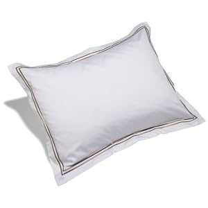 31OV8XNrrDL. AA300  Pinzon 400 Thread Count Egyptian Cotton Sateen Hotel Sham