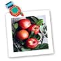 Fruit Food - Apple - Quilt Squares