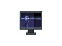 Nec ASLCD52V-BK 15-Inch 1024X768 LCD Monitor (Black)