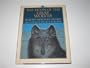 The Moon of the Gray Wolves (The Thirteen Moons Series)